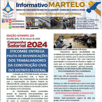 Informativo Nº 225